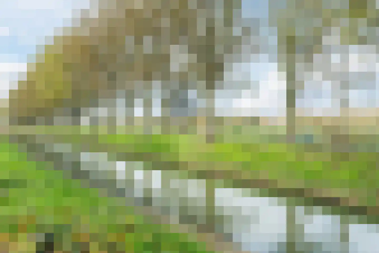 Lavendelveld 21 Schiedam thumbnail 42
