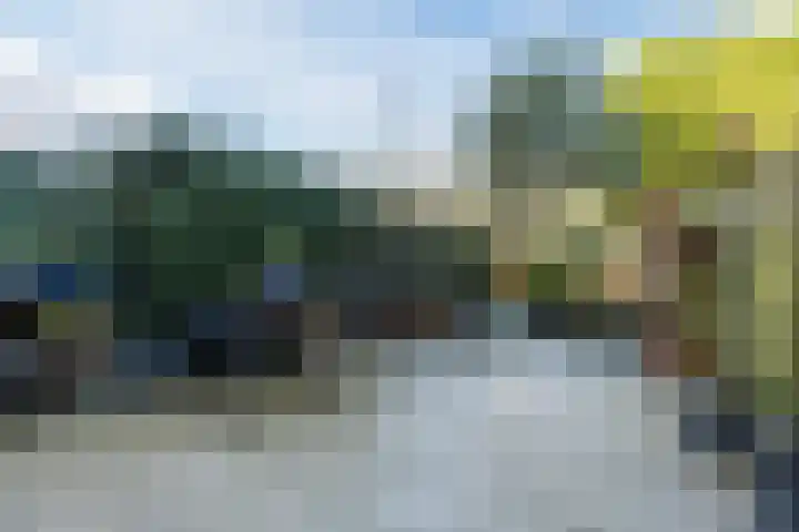 Lavendelveld 21 Schiedam thumbnail 5