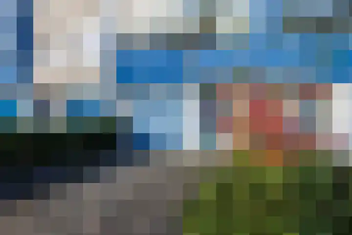 Lavendelveld 21 Schiedam thumbnail 8