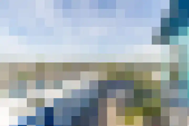 Lavendelveld 46 Schiedam thumbnail 22