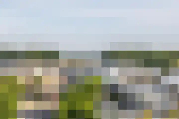Lavendelveld 46 Schiedam thumbnail 24