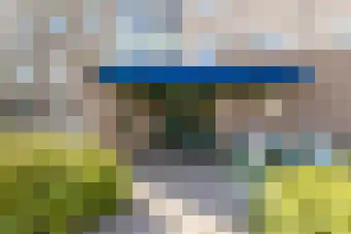 Lavendelveld 46 Schiedam thumbnail 37