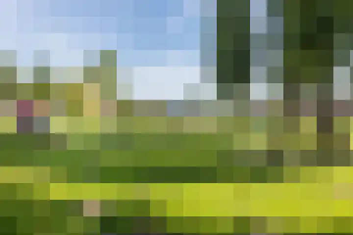 Lavendelveld 46 Schiedam thumbnail 40
