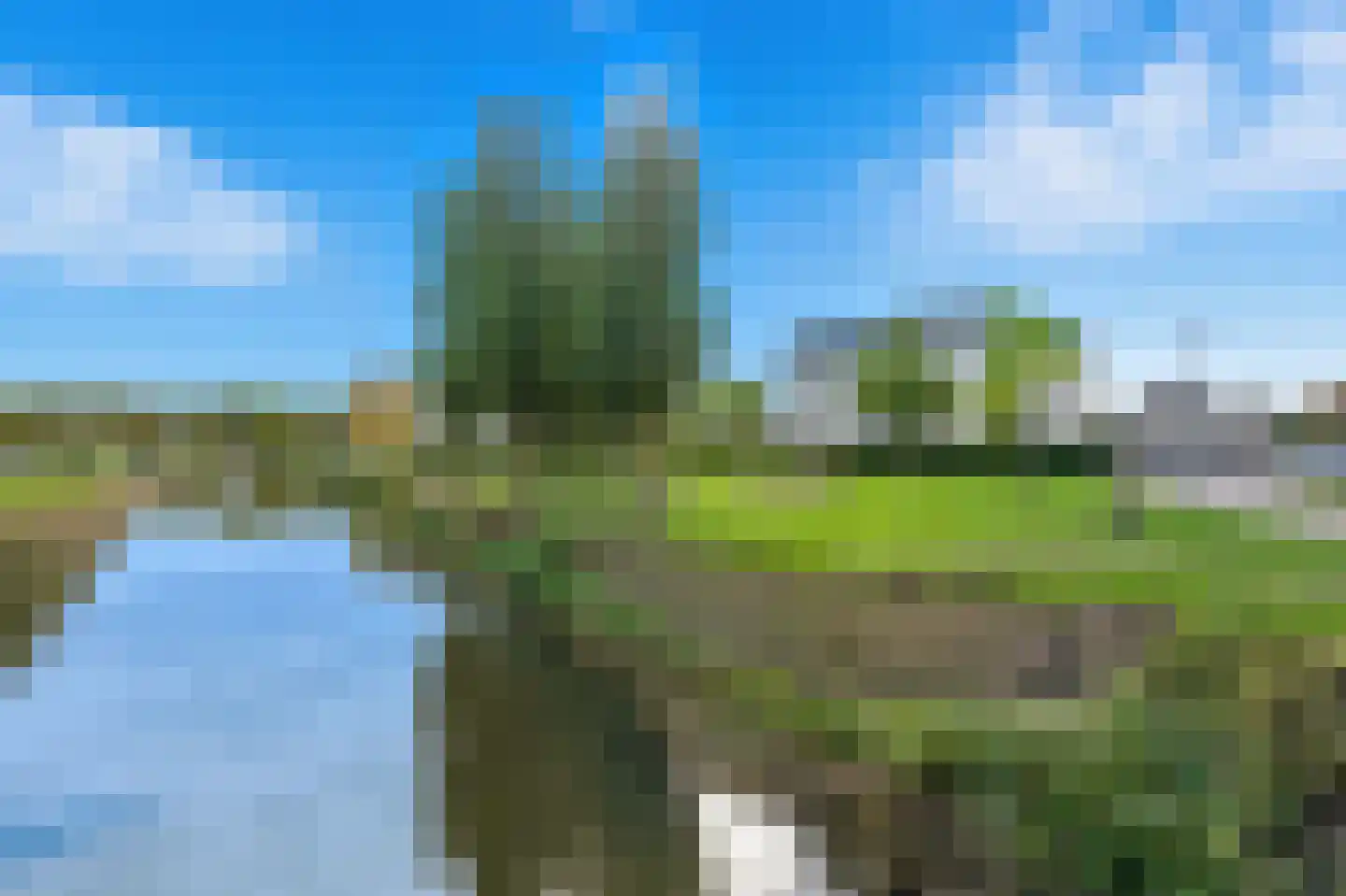 Lavendelveld 88 Schiedam thumbnail 36