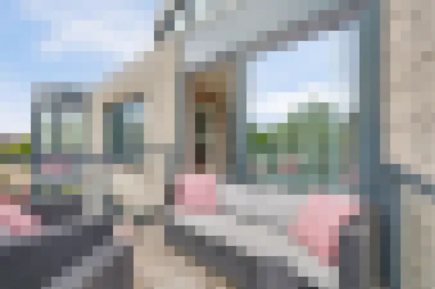 Lavendelveld 90 Schiedam thumbnail 21