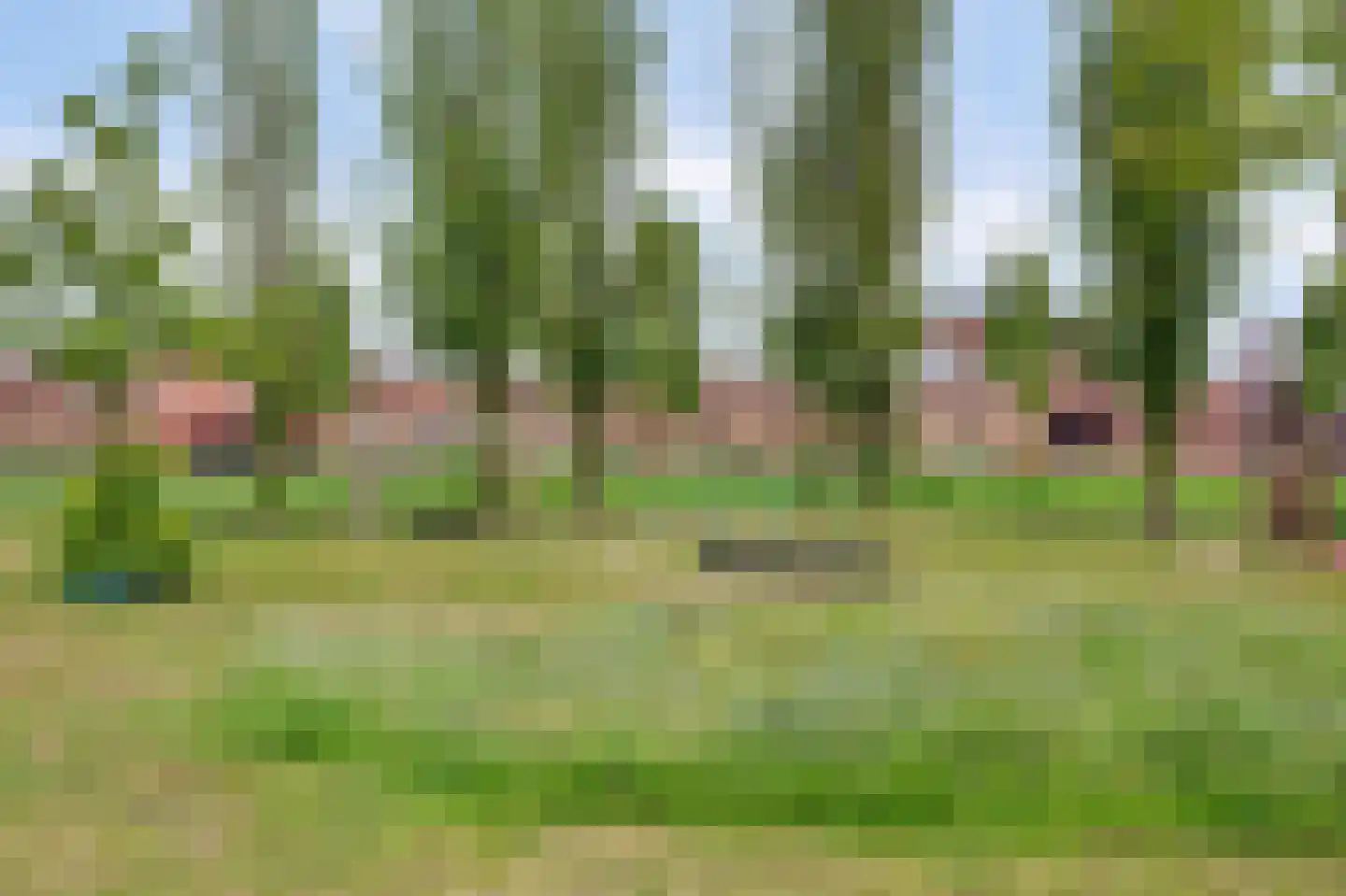 Lavendelveld 90 Schiedam thumbnail 30