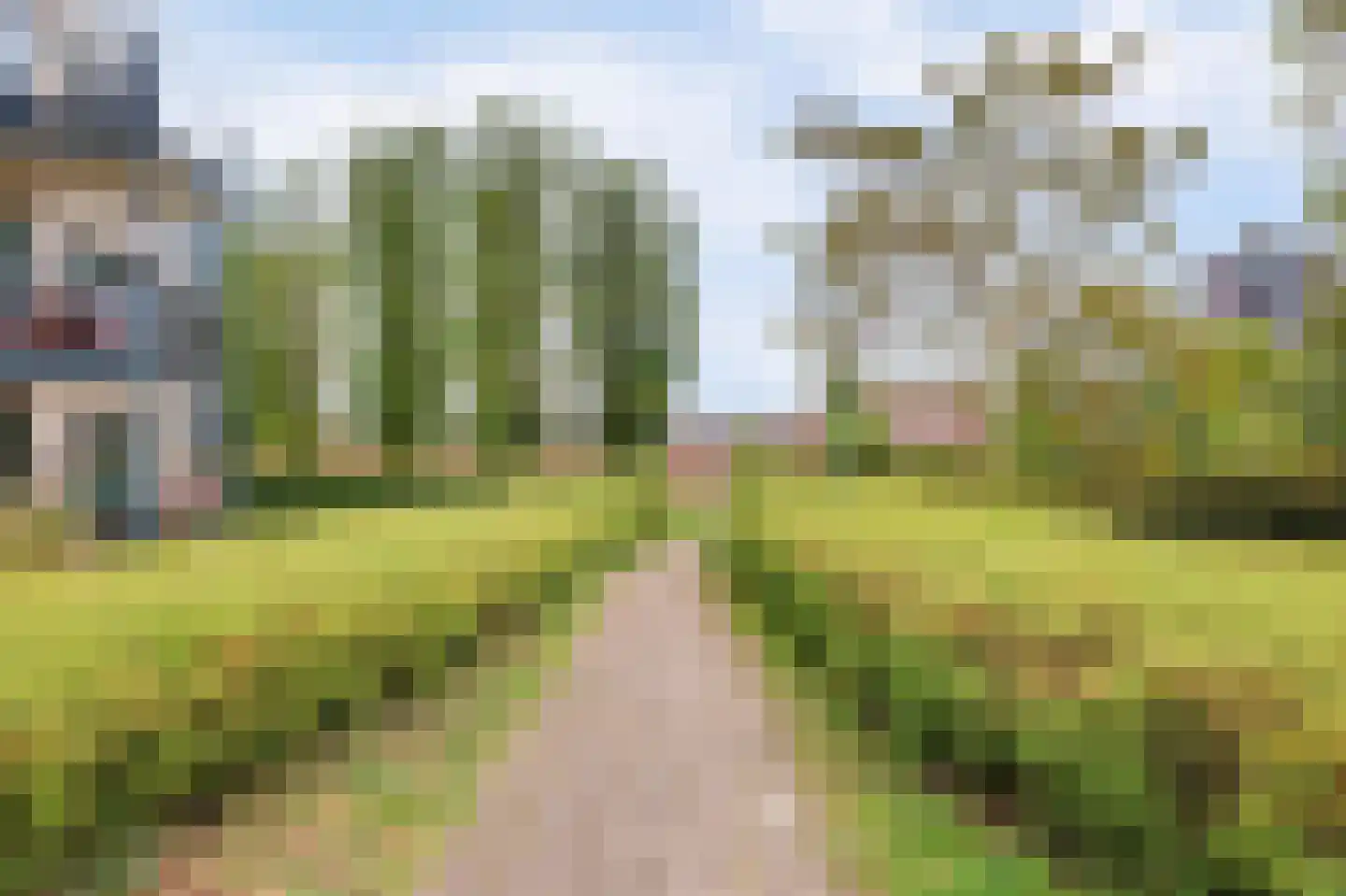 Lavendelveld 90 Schiedam thumbnail 31