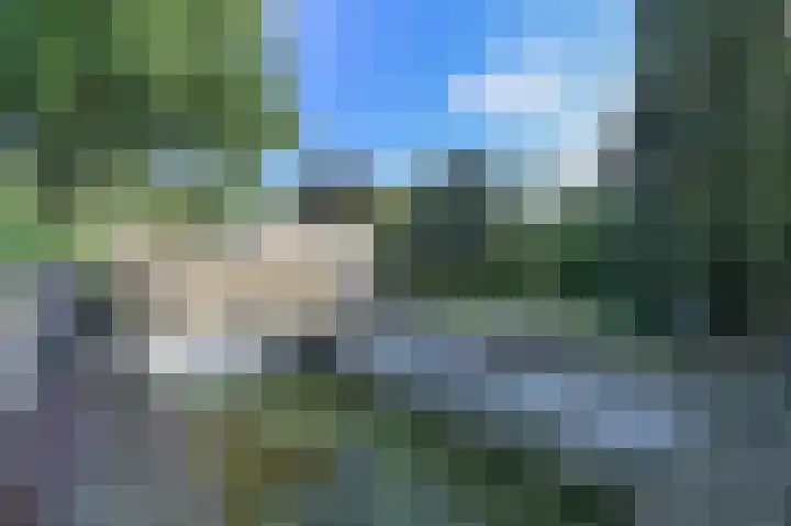 Lavendelweg 12 Venlo thumbnail 12