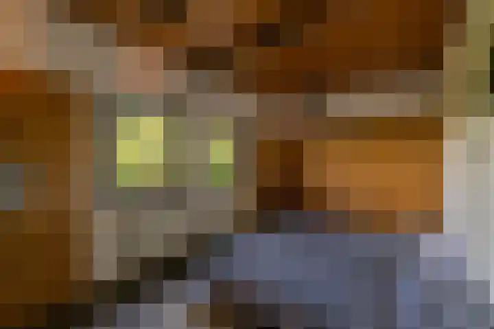 Lavendelweg 12 Venlo thumbnail 17
