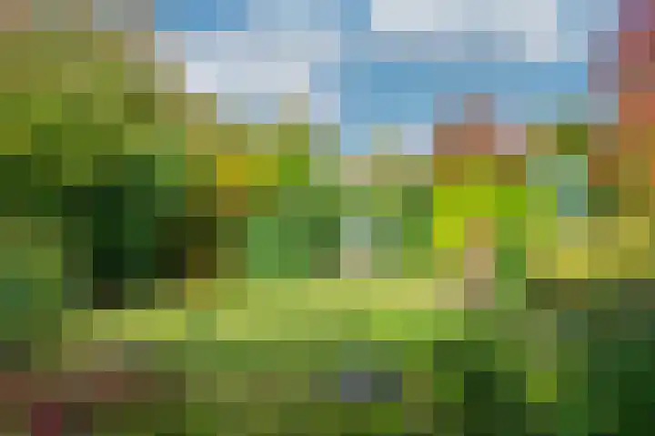 Lavendelweg 16 Venlo thumbnail 62