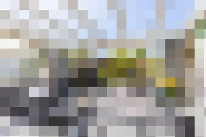 Lavendelweg 66 Groningen thumbnail 32
