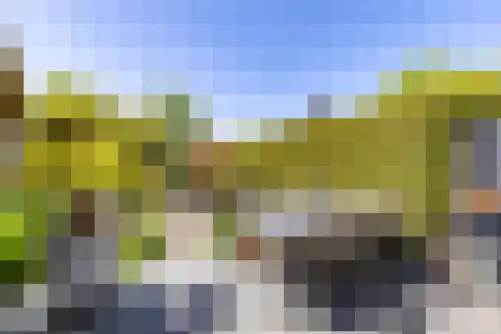 Lavendelweg 66 Groningen thumbnail 35