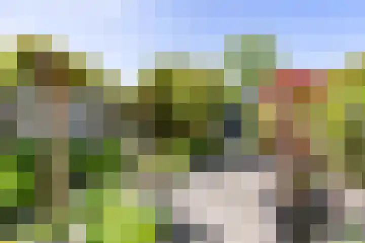 Lavendelweg 66 Groningen thumbnail 38