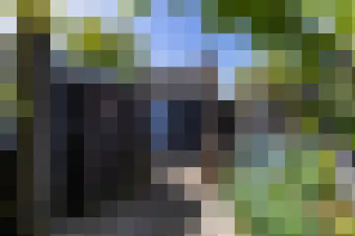 Lavendelweg 66 Groningen thumbnail 39