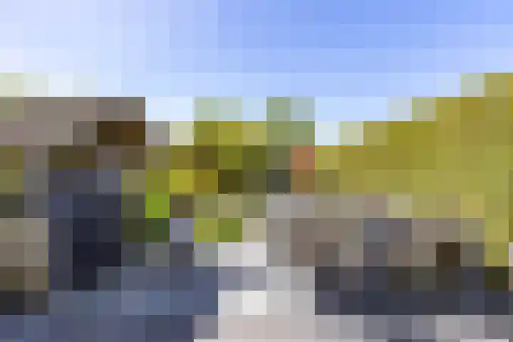 Lavendelweg 66 Groningen thumbnail 4
