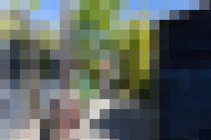 Lavendelweg 66 Groningen thumbnail 42