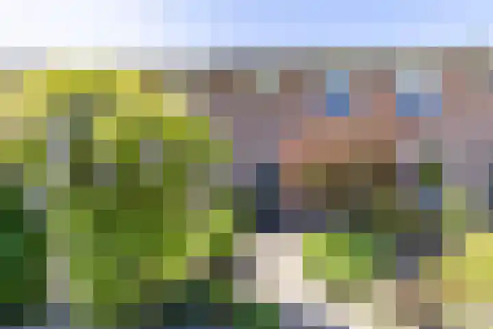 Lavendelweg 66 Groningen thumbnail 44