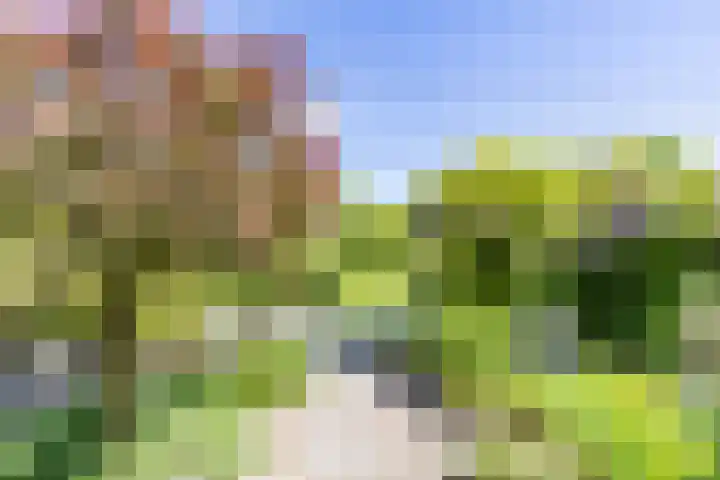 Lavendelweg 66 Groningen thumbnail 45