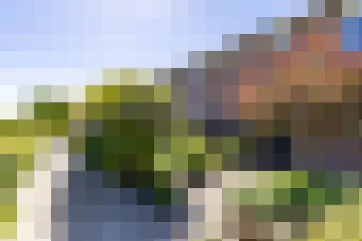 Lavendelweg 66 Groningen thumbnail 46