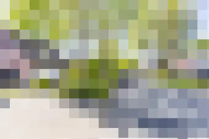 Lavendelweg 66 Groningen thumbnail 47