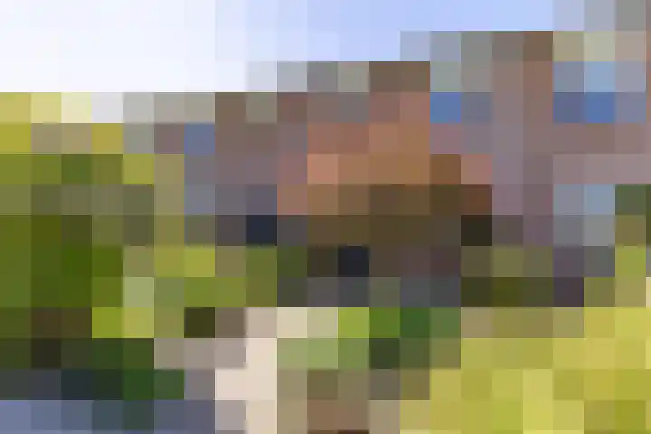 Lavendelweg 66 Groningen thumbnail 5