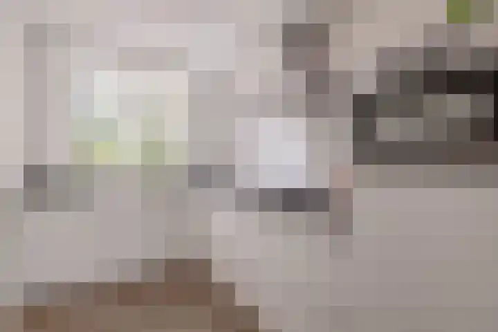 Lavengang 1 Waalwijk thumbnail 12
