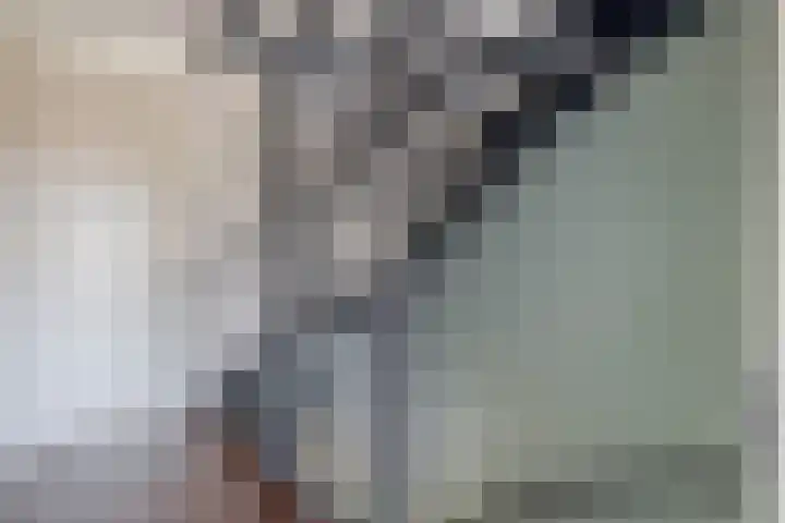 Lavengang 1 Waalwijk thumbnail 24