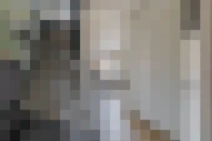 Lavengang 1 Waalwijk thumbnail 5