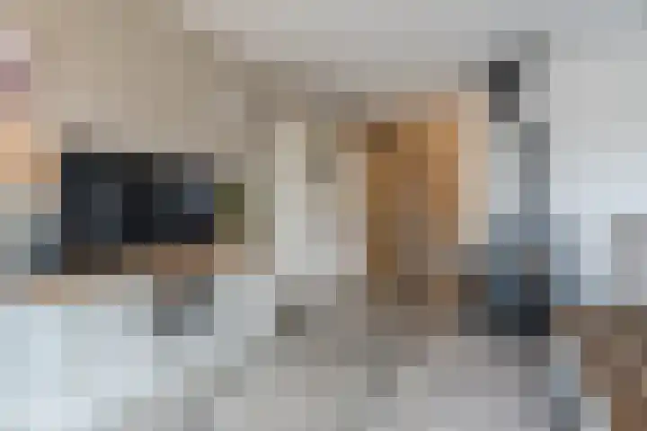 Laveranhof 48 Hoogeveen thumbnail 14