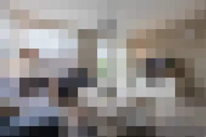 Laveranhof 48 Hoogeveen thumbnail 15