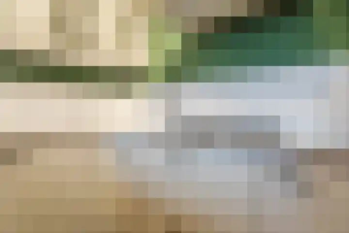 Laveranhof 48 Hoogeveen thumbnail 23