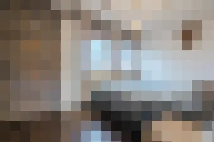 Laveranhof 48 Hoogeveen thumbnail 30