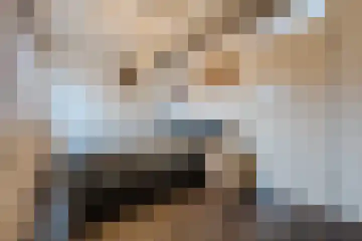 Laveranhof 48 Hoogeveen thumbnail 31