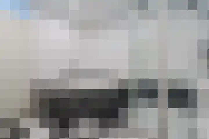 Laveranhof 48 Hoogeveen thumbnail 43