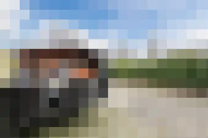 Laveranhof 48 Hoogeveen thumbnail 58