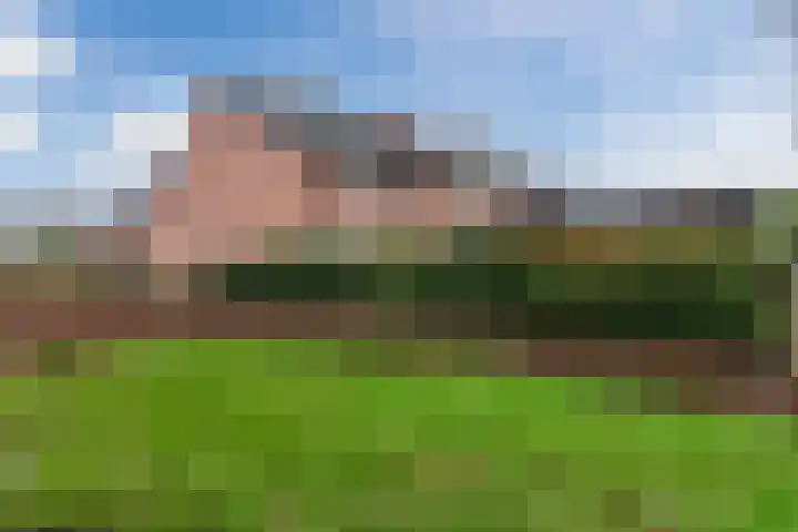 Laveranhof 48 Hoogeveen thumbnail 61