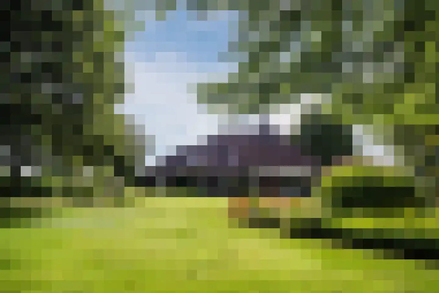 Laverdonk 9 Heeswijk-Dinther