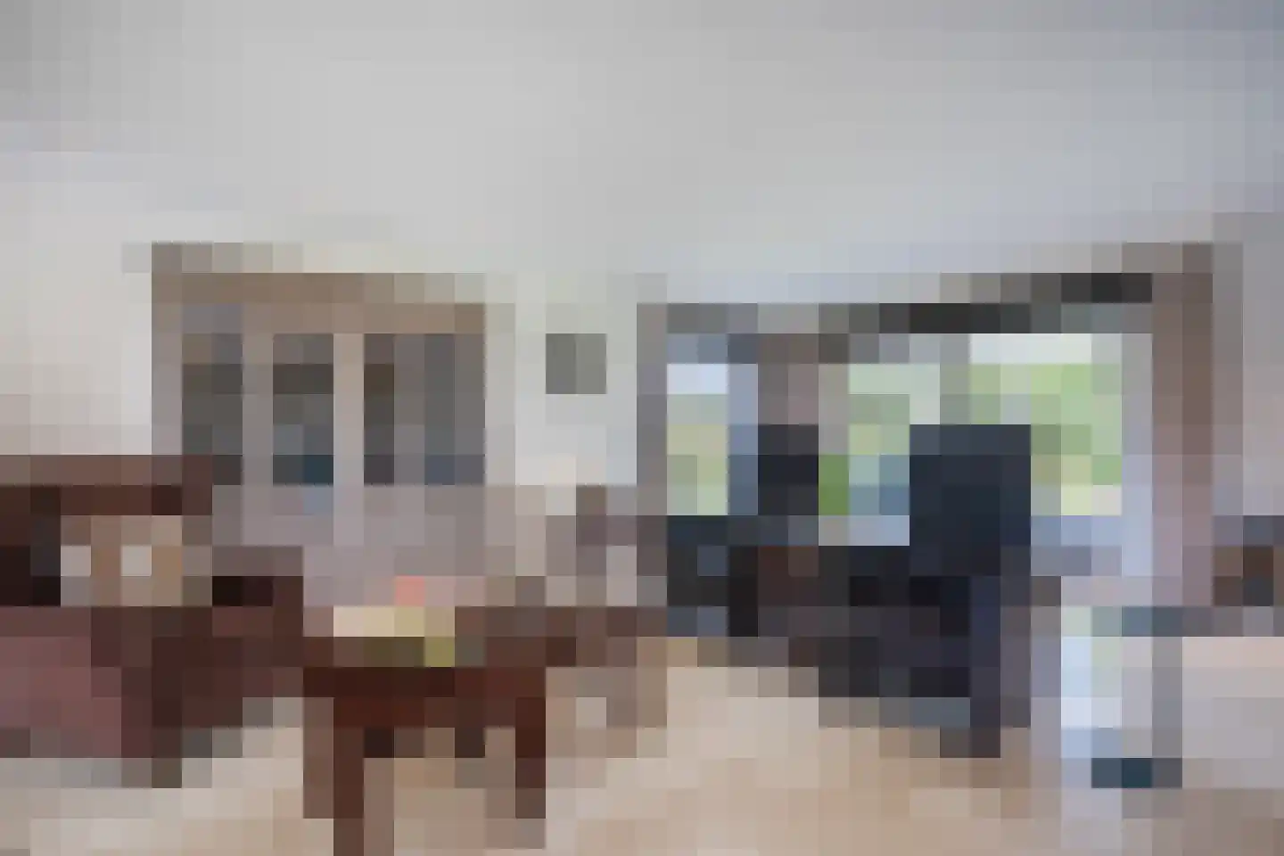 Laverdonk 9 Heeswijk-Dinther thumbnail 10