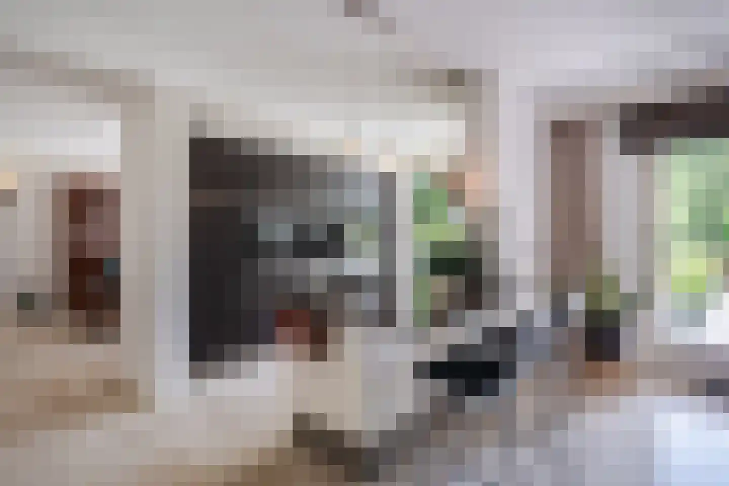Laverdonk 9 Heeswijk-Dinther thumbnail 12
