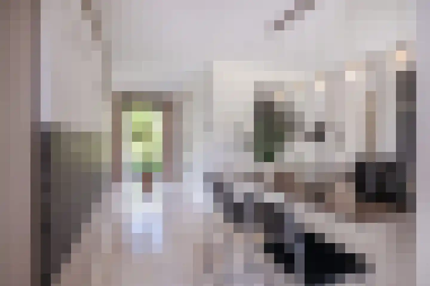 Laverdonk 9 Heeswijk-Dinther thumbnail 13