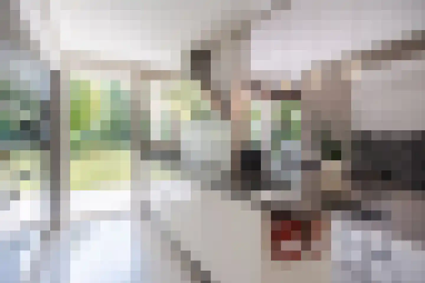 Laverdonk 9 Heeswijk-Dinther thumbnail 14