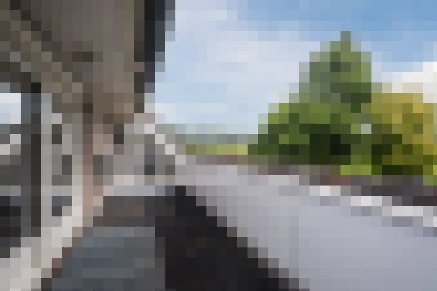 Laverdonk 9 Heeswijk-Dinther thumbnail 25