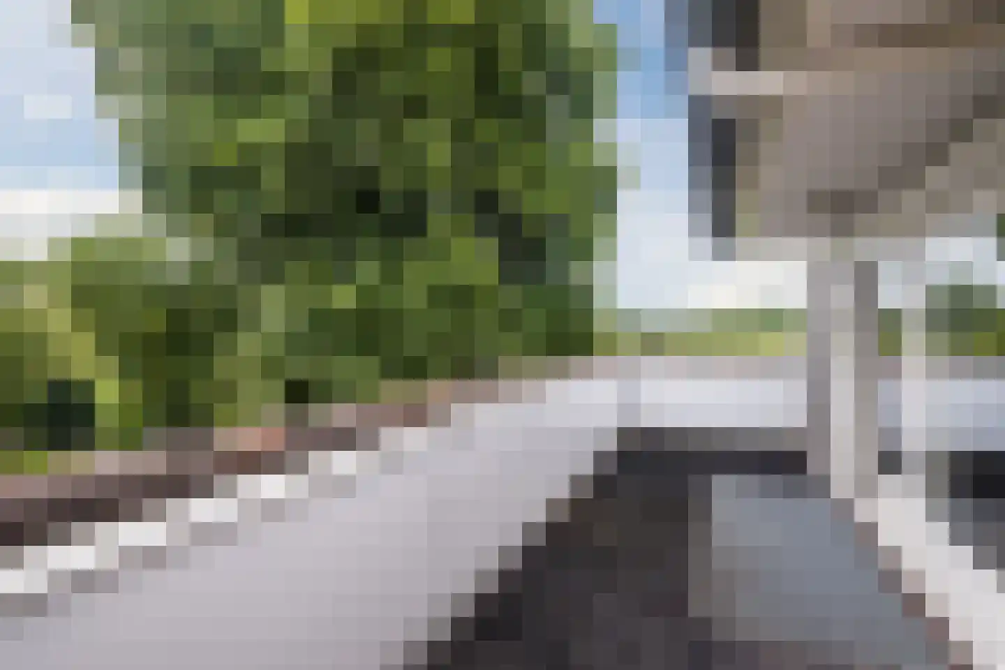 Laverdonk 9 Heeswijk-Dinther thumbnail 26