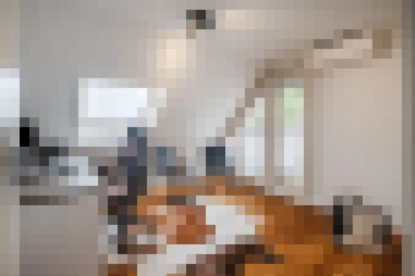 Laverdonk 9 Heeswijk-Dinther thumbnail 30