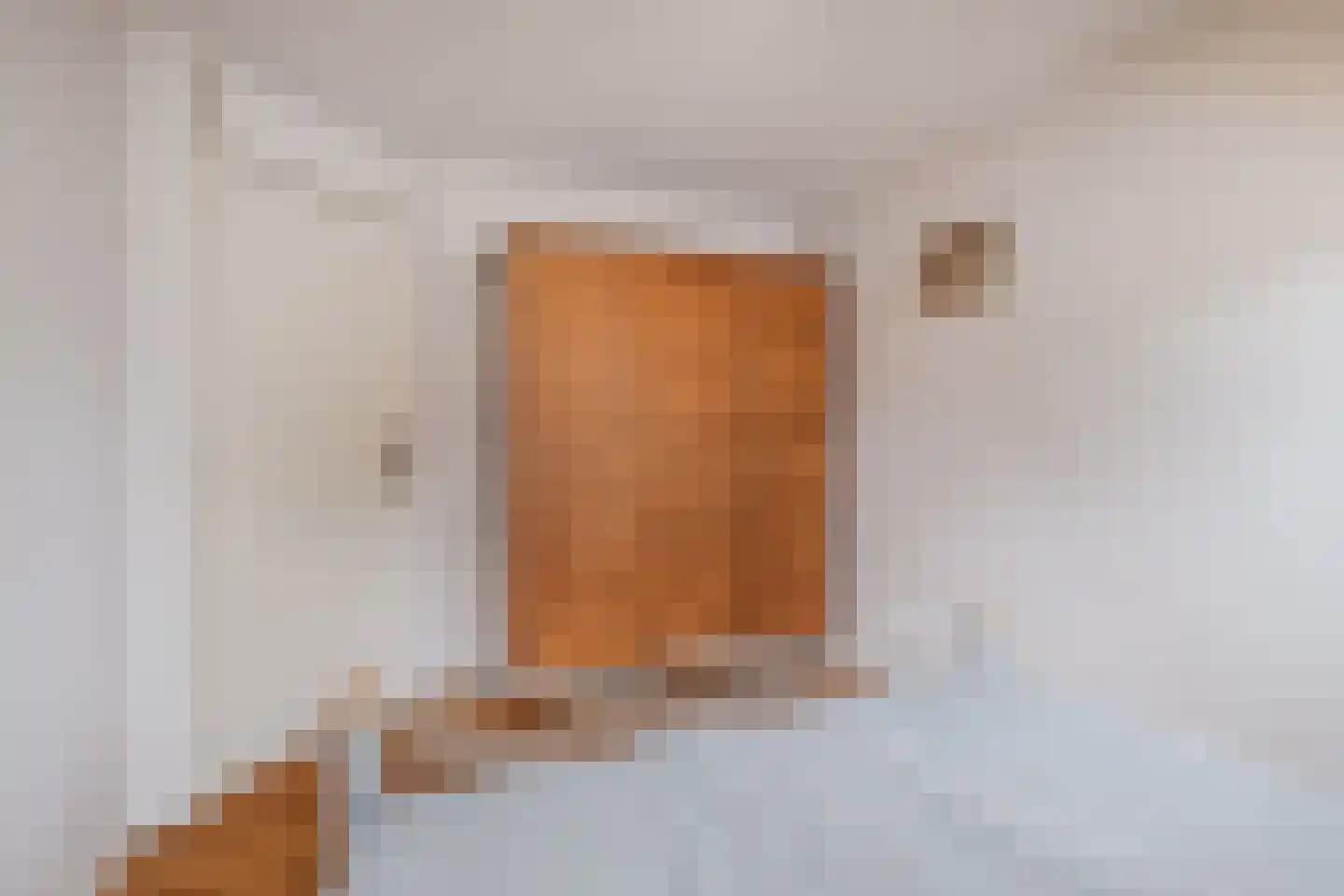 Laverdonk 9 Heeswijk-Dinther thumbnail 32