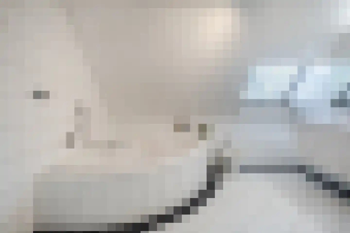Laverdonk 9 Heeswijk-Dinther thumbnail 33