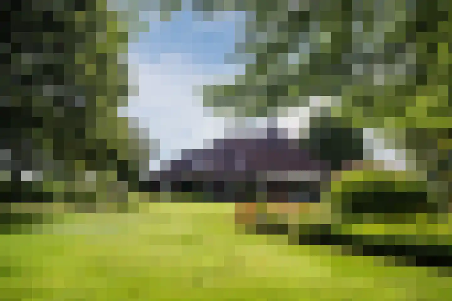 Laverdonk 9 Heeswijk-Dinther thumbnail 36