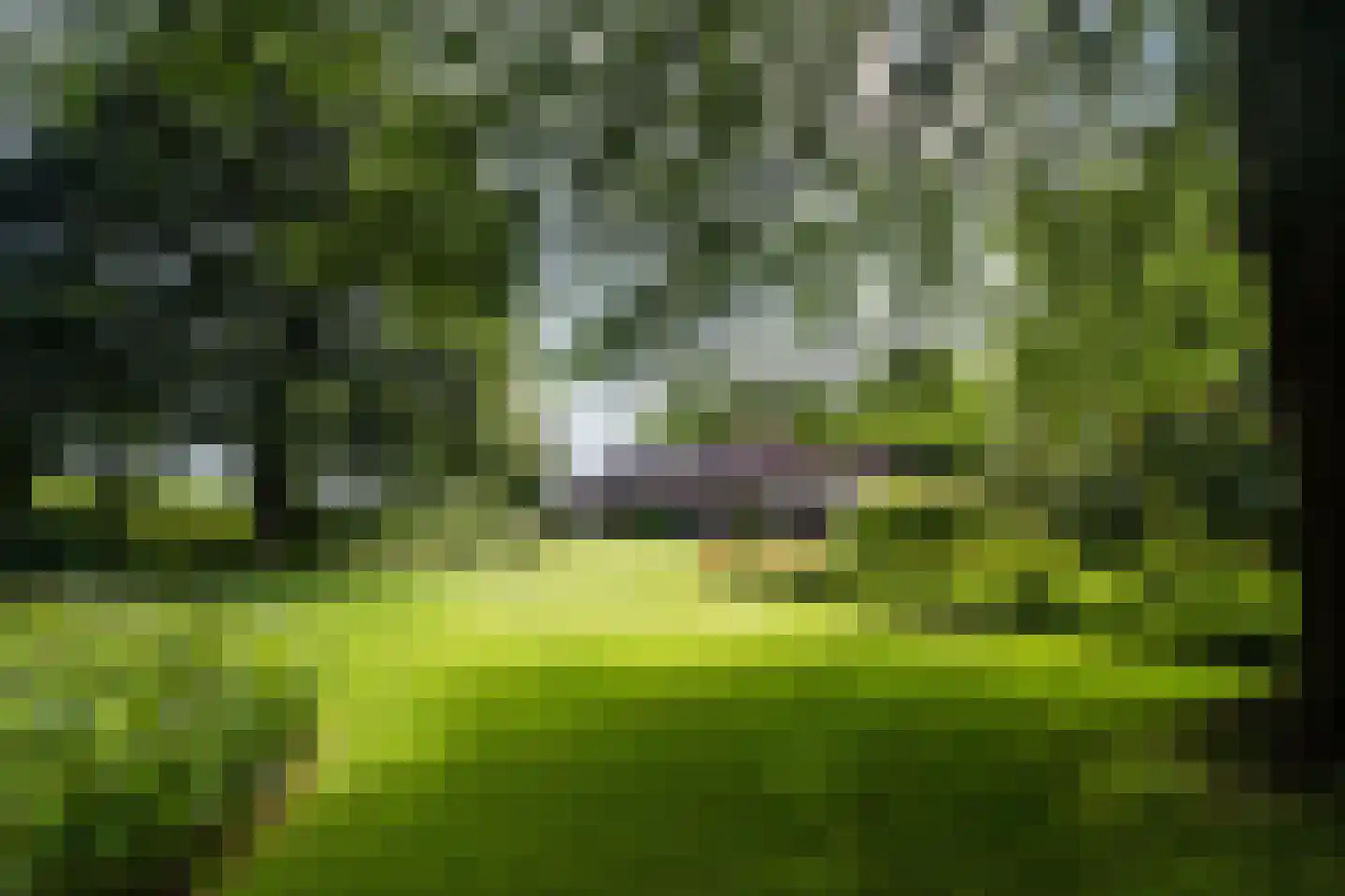Laverdonk 9 Heeswijk-Dinther thumbnail 37