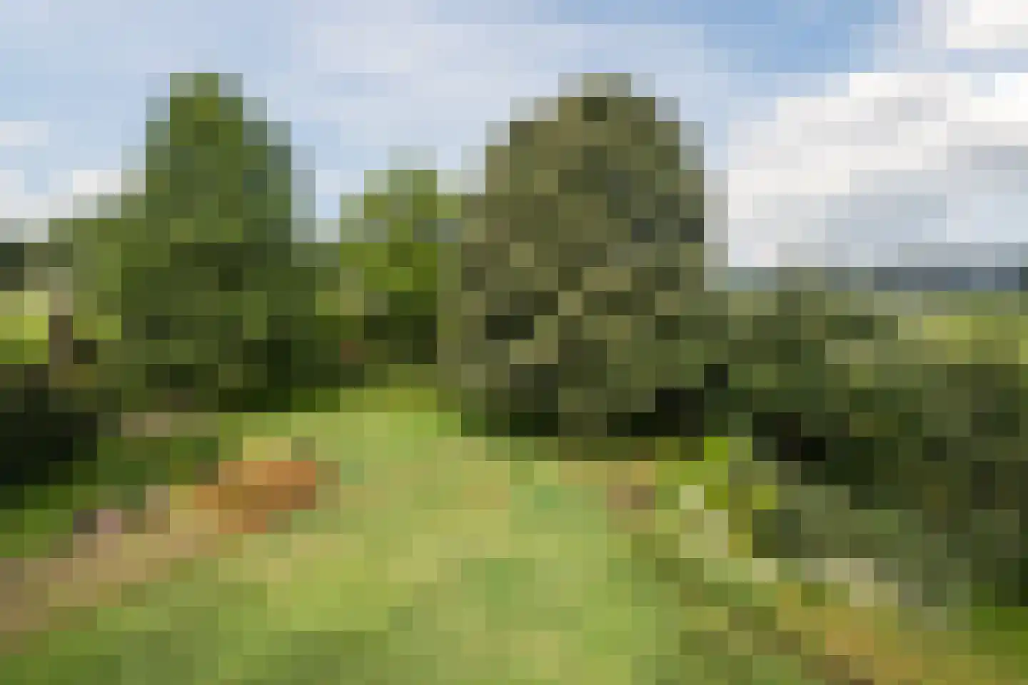 Laverdonk 9 Heeswijk-Dinther thumbnail 39