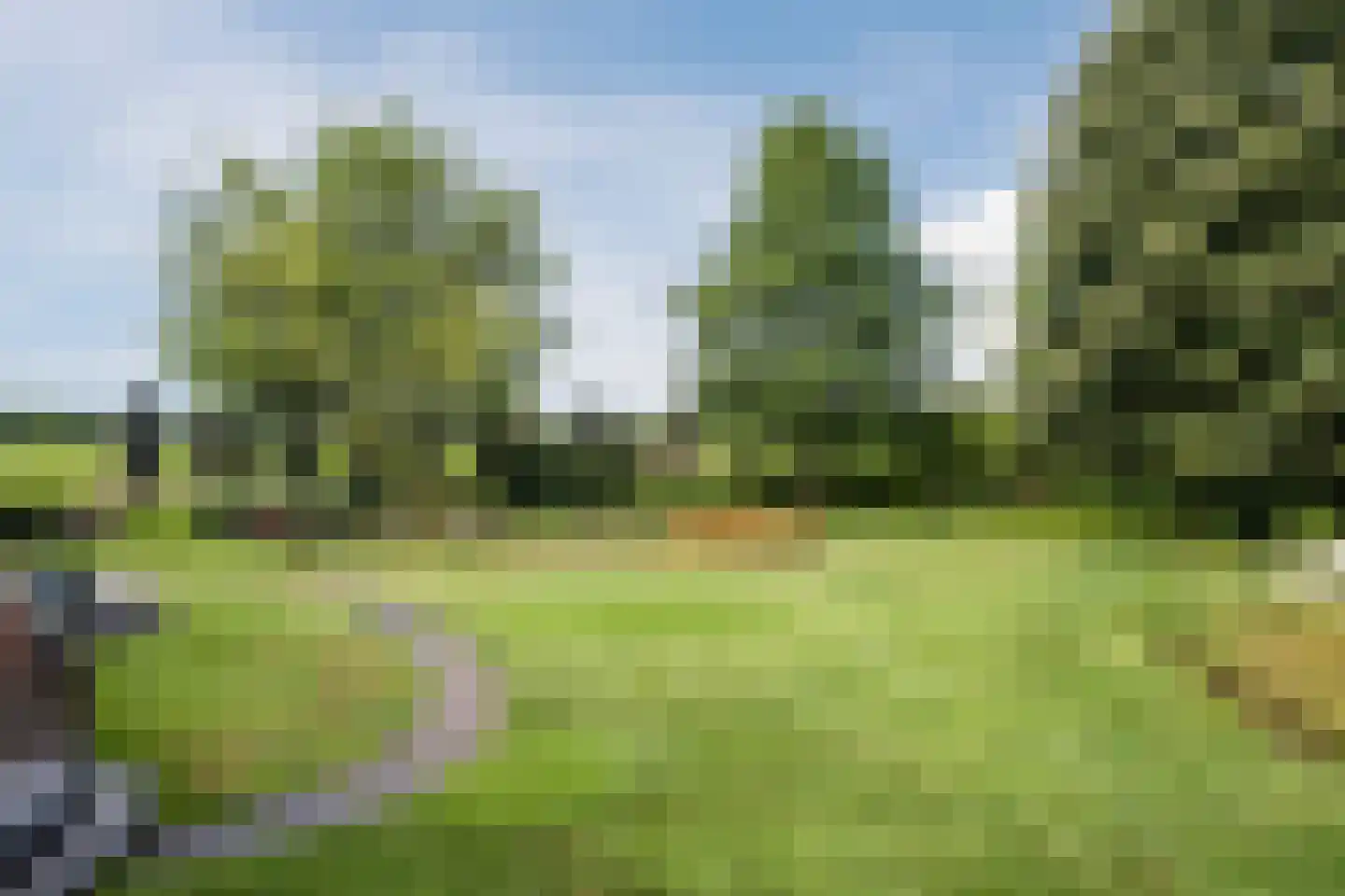 Laverdonk 9 Heeswijk-Dinther thumbnail 4